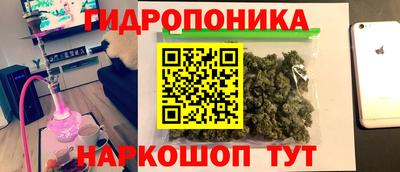 индика Славянск-на-Кубани