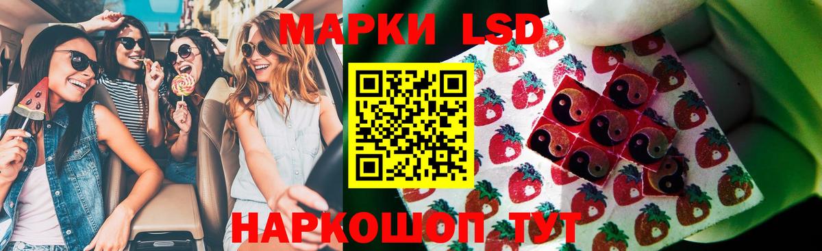 LSD-25 экстази кислота  LSD-25 экстази кислота  Вход с VPN  Новочебоксарск 